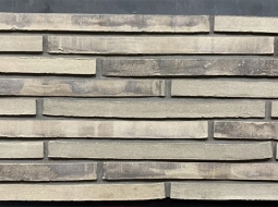 Кирпич лицевой керамический Ригель Hans Bekker 648